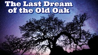 "The Last Dream of the Old Oak" by Hans Christian Andersen | Christmas at the J.W. Jupiter