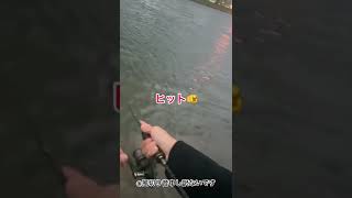 ガチで使ってみてほしいルアー