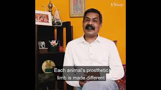 Disability in animals