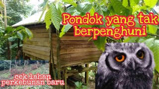 Pondok tak berpenghuni,,? dengan suasana lahan perkebunan baru