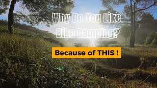 Vibes yang Gw Cari ketika Camping  Sambil Bawa Sepeda - Suasana Sepedaan Di Kebun Teh Ciwidey