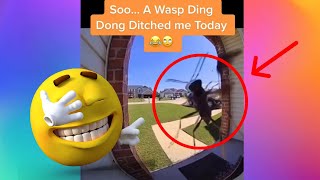 【FUNNY VIDEO】A WASP DING DONG DICTHED CAUGHT ON DOORBELL!!! (DOGS, CATS AND ANIMALS)