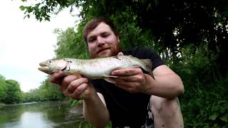 RESIDENT BROOK TROUT AND A BIG RAINBOW IN A TINY CREEK(NEW PB)