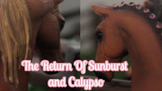 The Call Of The Wild - SO2 SO3   - The Return Of Sunburst and Calypso |Schleich Horse Series|