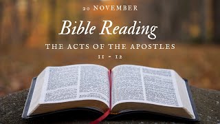 Bible Reading: 20 November - The Acts of the Apostles 11 - 12