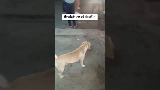 No se quizo quedar en casa.