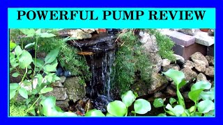 FISHY REVIEW - Vivosun 9000 GPH Pond Pump. Is it worth it?