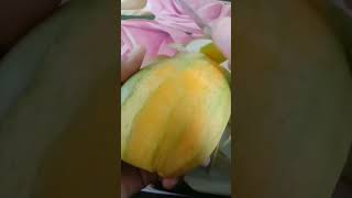 MANGGA DAGING TERENAK #shortvideo #shorts #short