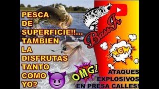 Pesca SUPERFICIAL en la Presa Calles!! ATAQUES EXPLOSIVOS!!!