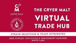 Cryer Malt Virtual Trade Hub: Strain Selection and Yeast Attributes