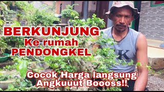 BERKUNJUNG KERUMAH PENDONGKEL