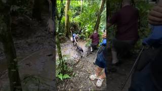 Passeio para a Fazenda Japiapé. A turma fez trilha e teve almoço com comida caseira. #cachorros