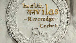 Stay in corbett | Tree of Life Vanvilas River Edge Resort