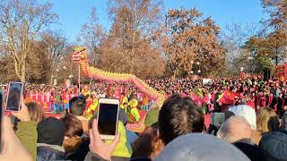 Chinese New Year 2023 - the Long Dragon