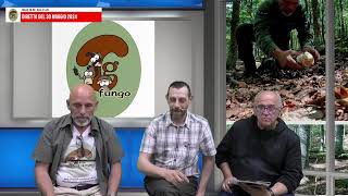 TG Fungo(forse) in diretta del 30  maggio 2024