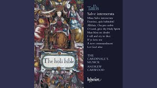 Tallis: Missa Salve intemerata: II. Credo