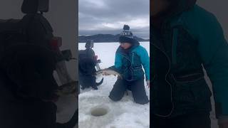 Pulling salmon through the ice 🧊 🎣 #maine #icefishing #wintercamping #northernmaine #fishing