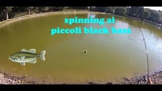 Spinning Ultralight "ai piccoli Black Bass"