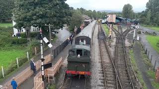 South Devon Railway (12/8/2023)