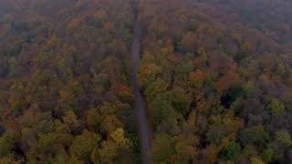 Videoclip aerian de toamnă | Drone in air