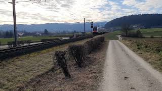 #sbahn in der Natur, #treno regionale nella natura, Local train in the nature