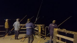 MADRUGADA DE PESCA EN EL MUELLE DE MIRAMAR