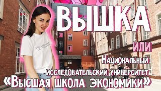 НИУ ВШЭ СПб| Высшая Школа Экономики | Как учатся студенты?