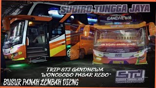 TRIP REPORT || SUDIRO TUNGGA JAYA "GANDHEWA" WONOSOBO MUNCUL PESONA PRIA IDAMAN