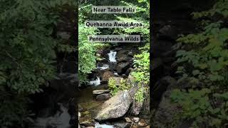 Near Table Falls in Quehanna Wild Area, Pennsylvania