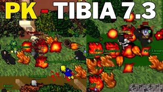 (PK) TEAM FIRE ELEMENTAL DESTRUCTION AB'DENDRIEL (TIBIA 7.3)