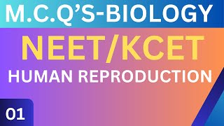 MCQ'S | BIOLOGY | CLASS -12|CHAPTER-02| MALE REPRODUCTIVE SYSTEM NEET/KCET