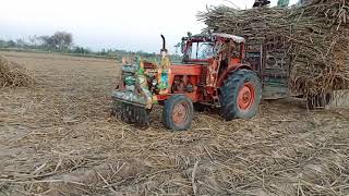 Powerful Belarus Tractors Power show against sugarcane loaded traily | Tractor stunt