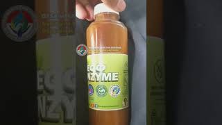 produk eco enzyme - desa wisata belitar seberang