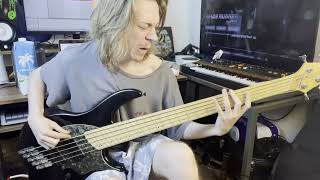 Tesseract - Natural Disaster - Intro bass cover