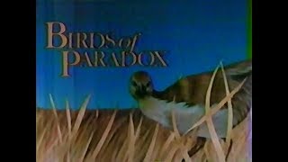 Birds of Paradox (1985)