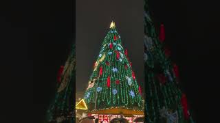 World biggest Christmas Tree 🎄 opening Dortmund, Germany 🎄🎄🎄