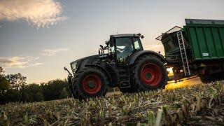 Maishäckseln 2020  [Fendt 828 Vario BlackBeauty]