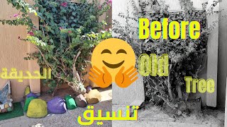 تنسيق الحديقة بأسهل طريقة / ابو النوافير