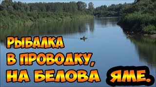 Рыбалка в проводку, на Белова яме