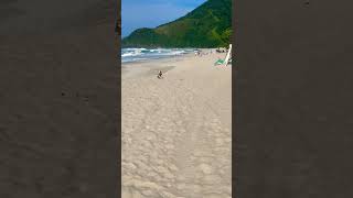 Jack na praia , brincadeira favorita dele , alegria de cachorro #amor