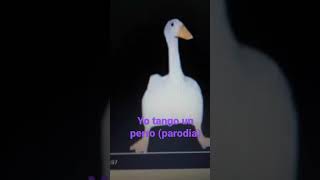 yo tengo un perro (parodia)