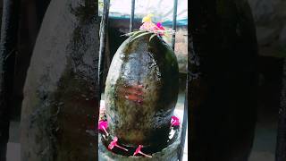 सर्वेश्वरः महादेवः | namah shiva #om #shiva #shorts