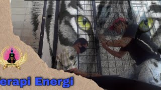 ENERGI FOR HEALING