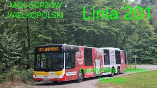 MZK Gorzów Wielkopolski, linia 201 - MAN NL353-15 Lion' s City LL #617