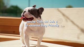 Club del Sole Pet