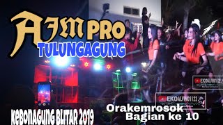 LIVE,!!  AjM Production TULUNGAGUNG Karnaval Kebonagung Wonodadi Blitar 2019.