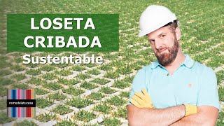 LOSETA CRIBADA: Un ESPACIO VERDE para la ENTRADA de tu casa | Sustentabilidad