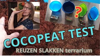 Cocopeat blokken test Terrarium Reuzenslakken