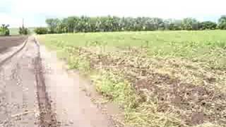 Farm driveway in Marquette Kansas