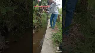 strike lgi bro luar biasa si akang ini mancing ny daerah garut